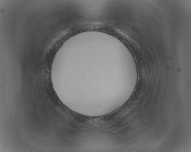 X0000072941447200608181329