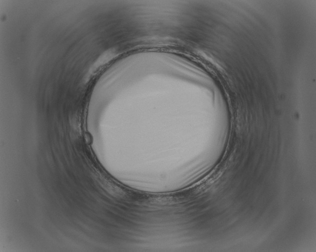 X0000072941451200608181329