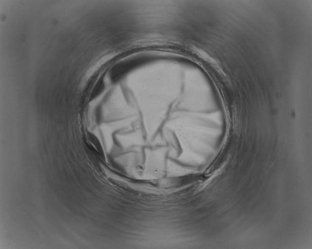 X0000072941453200608181329