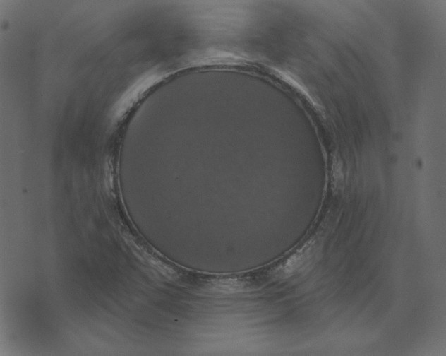 X0000072941455200608181329