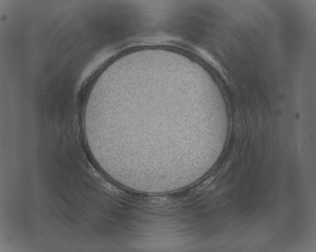 X0000072941456200608181329