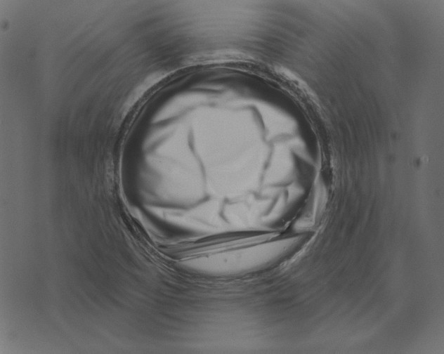 X0000072941457200608181329