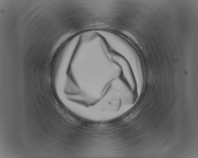 X0000072941458200608181329