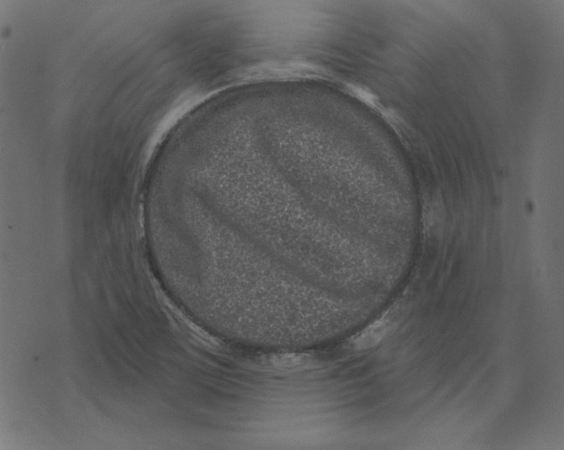 X0000072941459200608181329