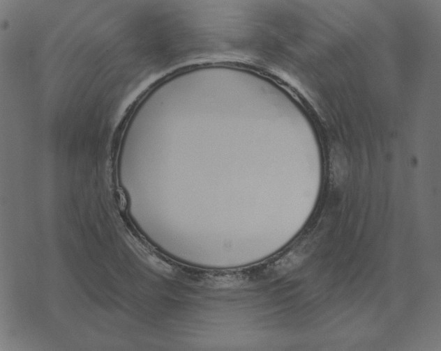 X0000072941460200608181329