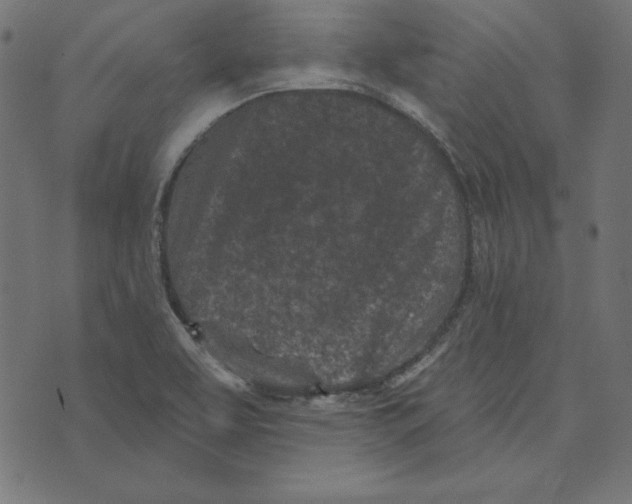 X0000072941463200608181329