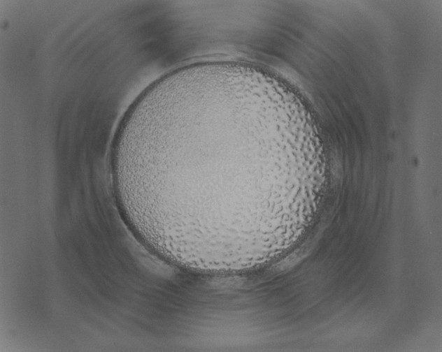 X0000072941466200608181329