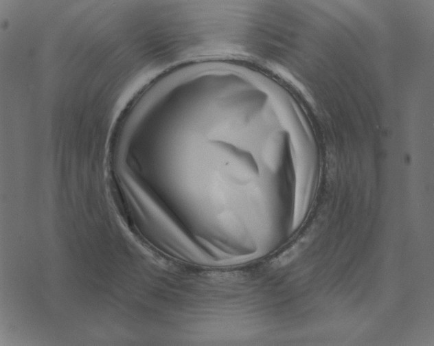 X0000072941469200608181329