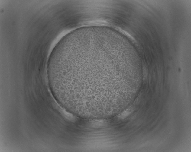 X0000072941470200608181329