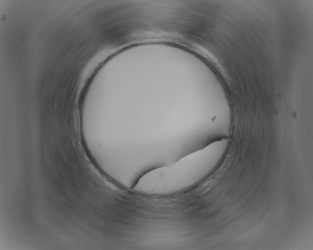 X0000072941472200608181329