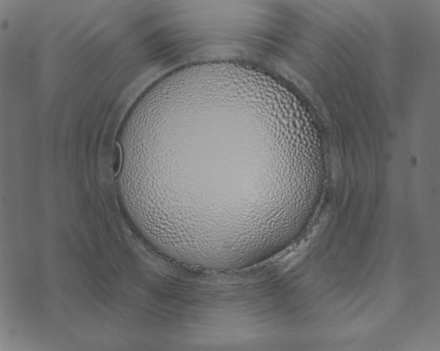 X0000072941473200608181329