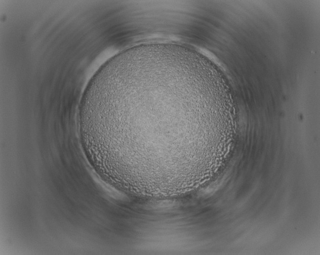 X0000072941474200608181329