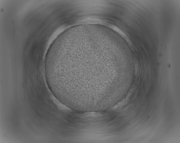 X0000072941478200608181329