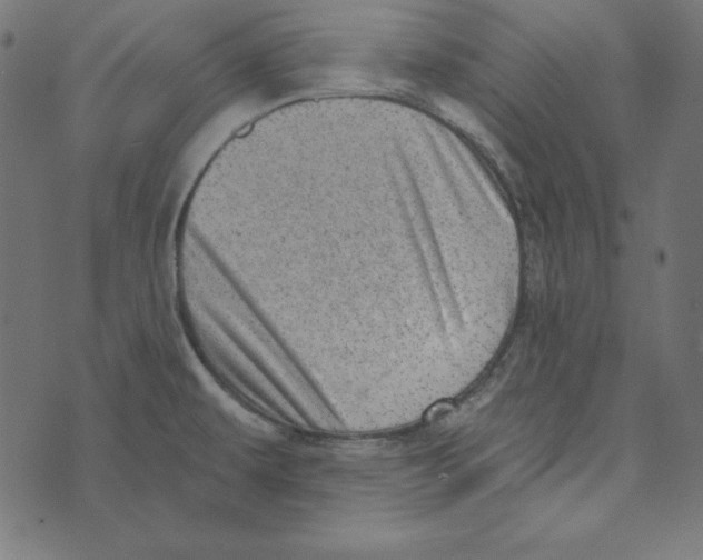 X0000072941479200608181329