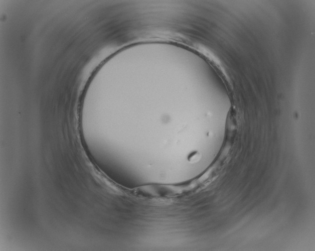 X0000072941480200608181329