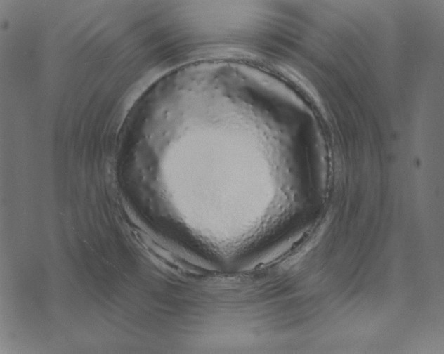 X0000072941481200608181328