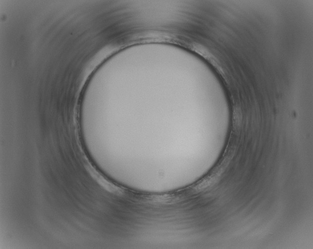 X0000072941482200608181328