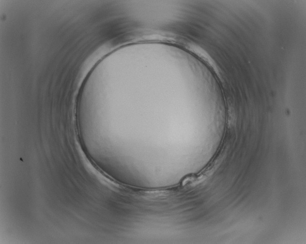 X0000072941483200608181328