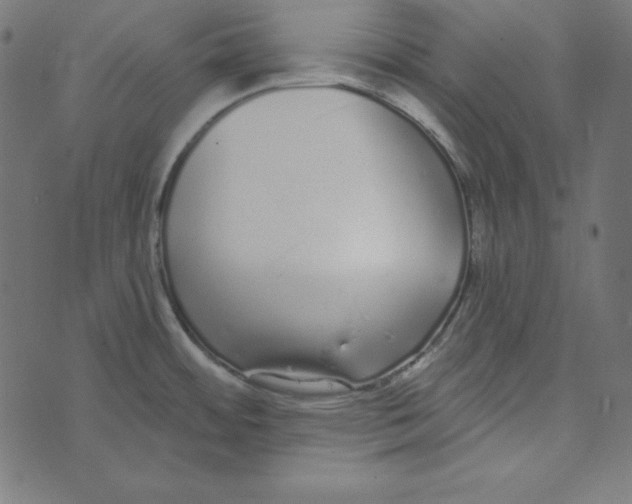 X0000072941484200608181328