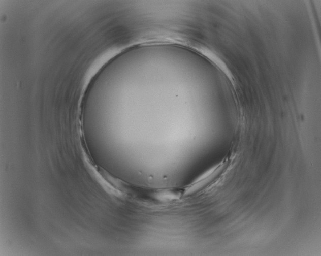 X0000072941485200608181328