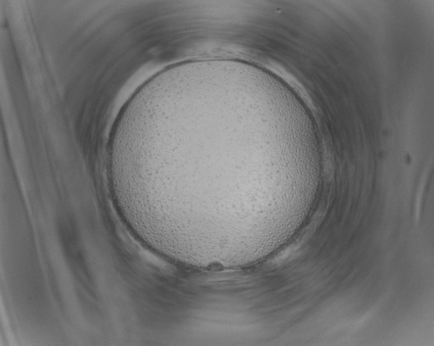 X0000072941486200608181328