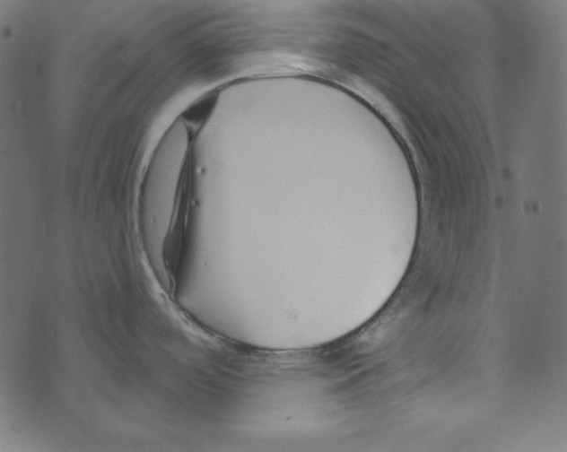 X0000072941488200608181328