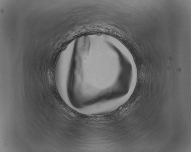 X0000072941490200608181328