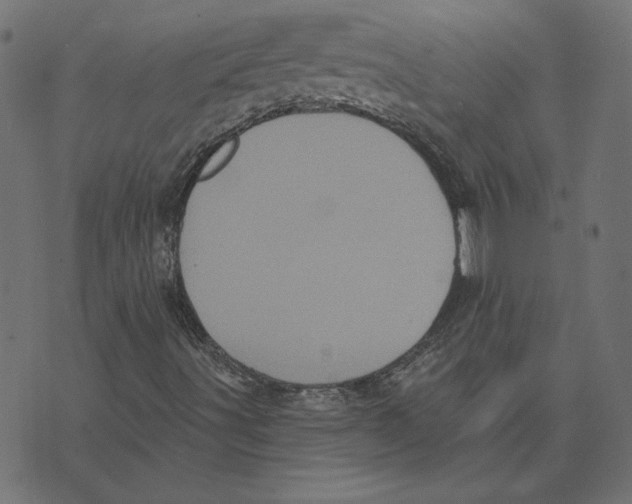 X0000072941491200608181328