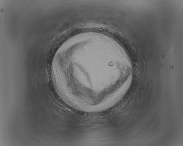 X0000072941493200608181328