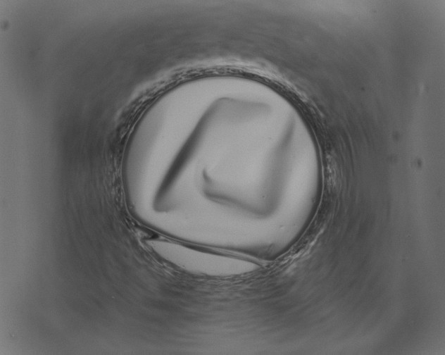 X0000072941494200608181328