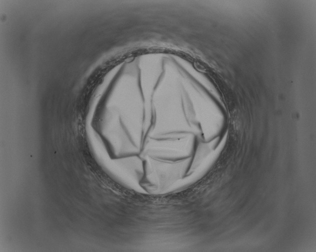 X0000072941495200608181328