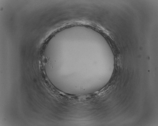 X0000072941496200608181328