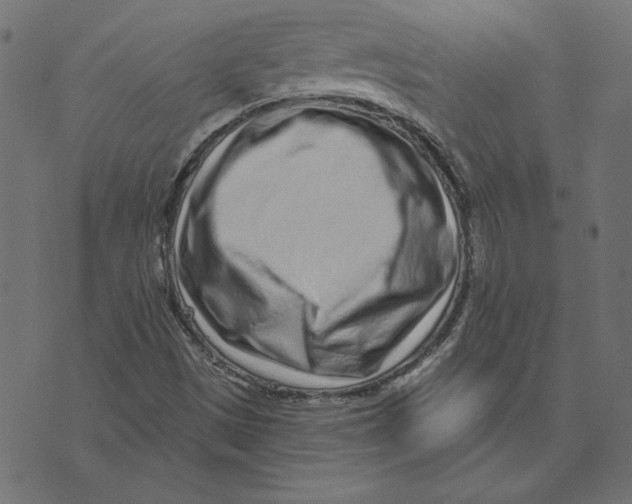 X0000072941497200608181328