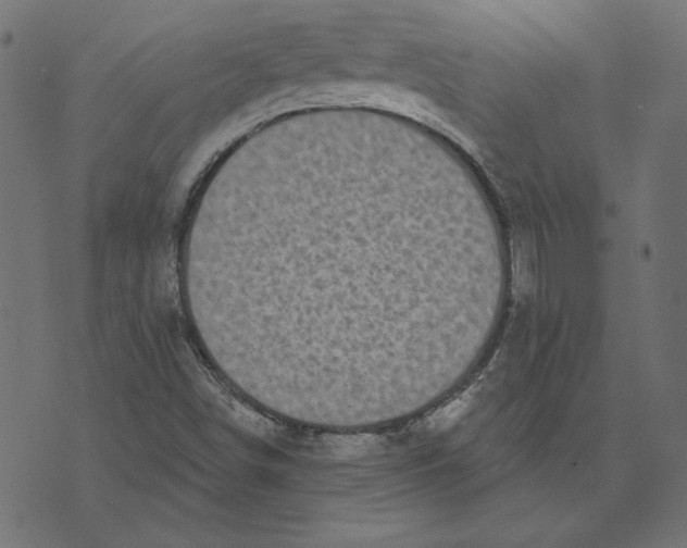 X0000072941498200608181328