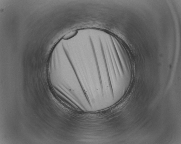 X0000072941500200608181328