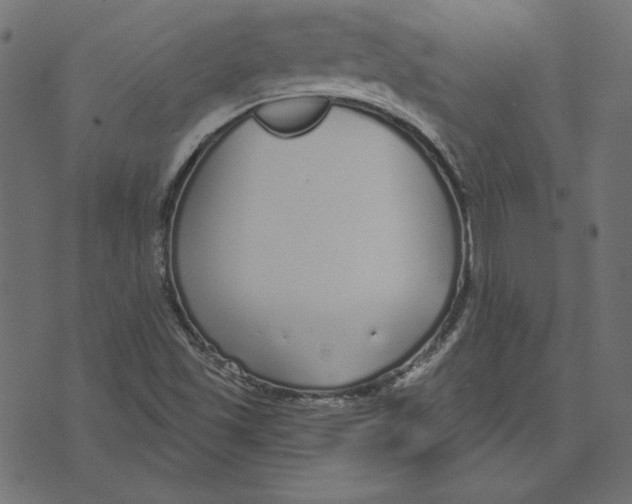 X0000072941501200608181328