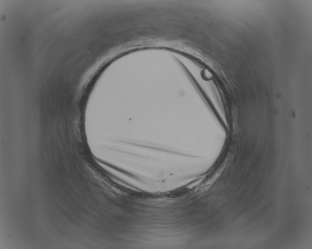 X0000072941502200608181328