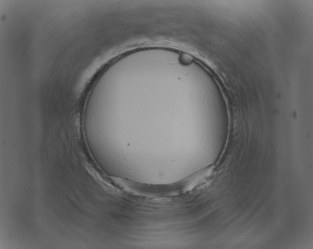 X0000072941503200608181328