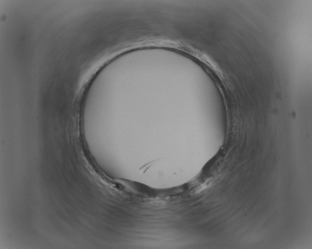 X0000072941504200608181328