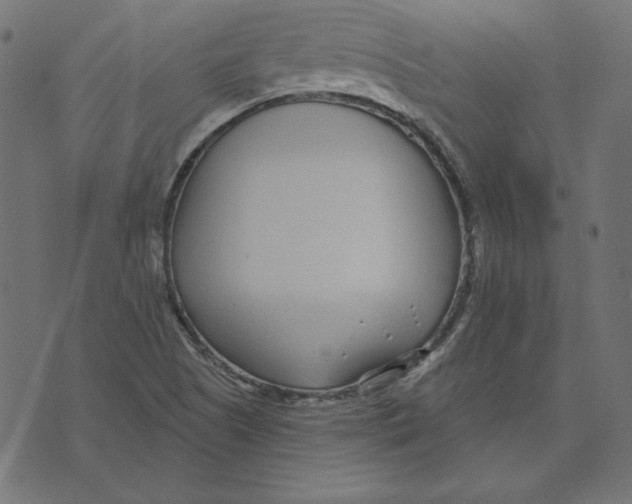 X0000072941505200608181328