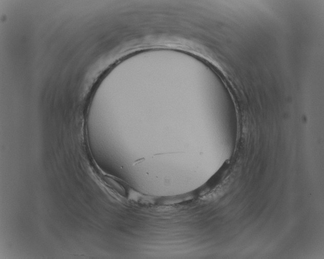 X0000072941507200608181328