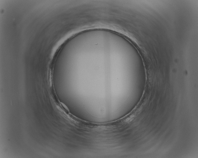 X0000072941510200608181328