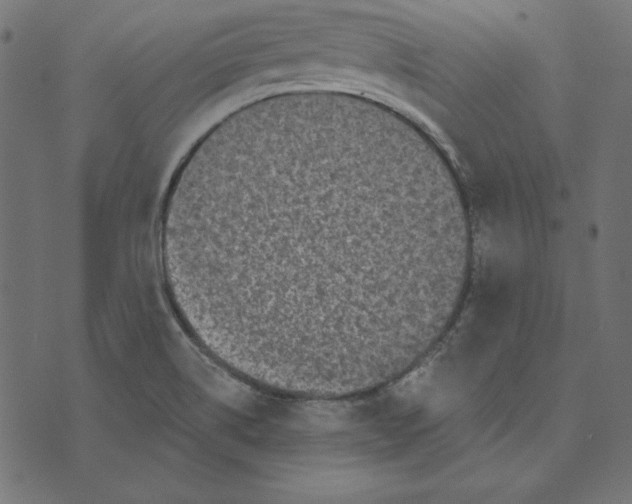 X0000072941514200608181328