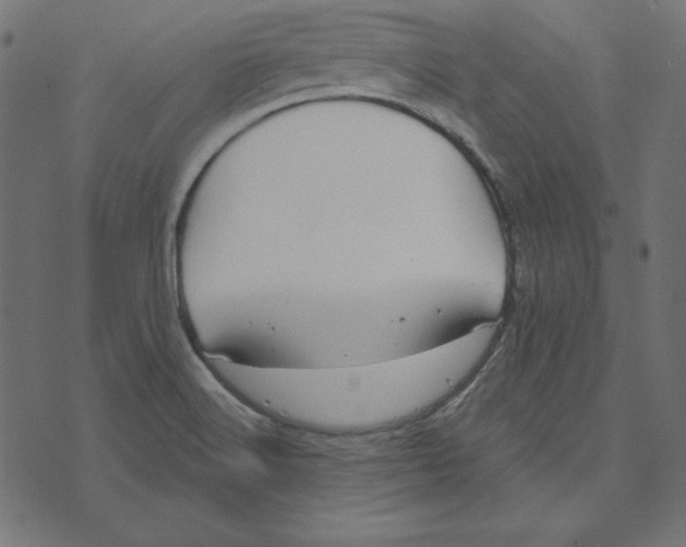 X0000072941516200608181328