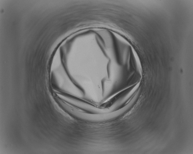 X0000072941518200608181328