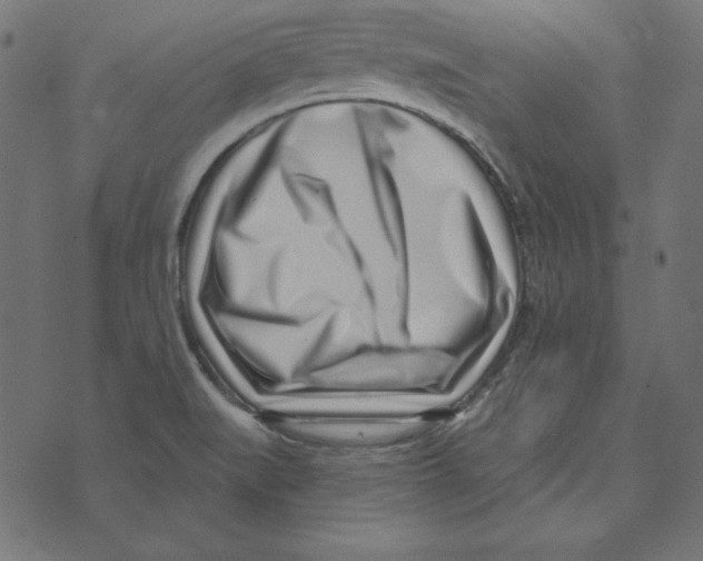 X0000072941519200608181328