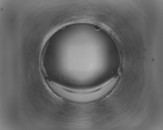 X0000072941520200608181328