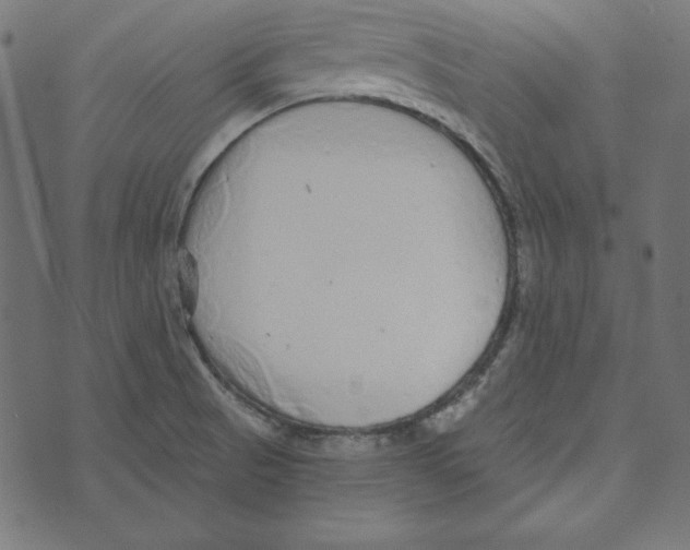 X0000072941521200608181328