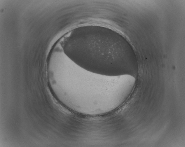 X0000072941522200608181328