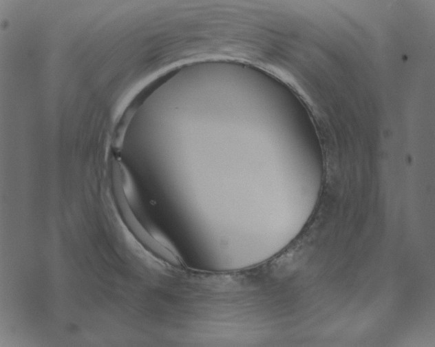 X0000072941524200608181328